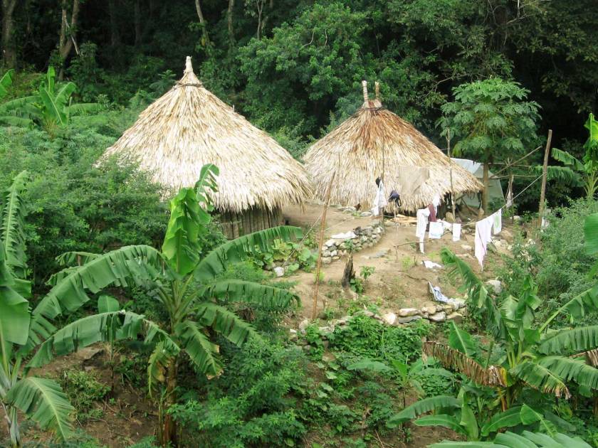 kolumbijski pragozd - potovanja iz knjige ujetnica pragozda